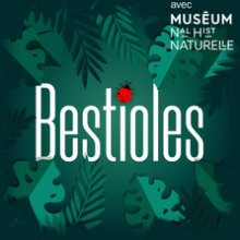 capture_decran_2021-07-04_a_23.19.08.png Thumbnail